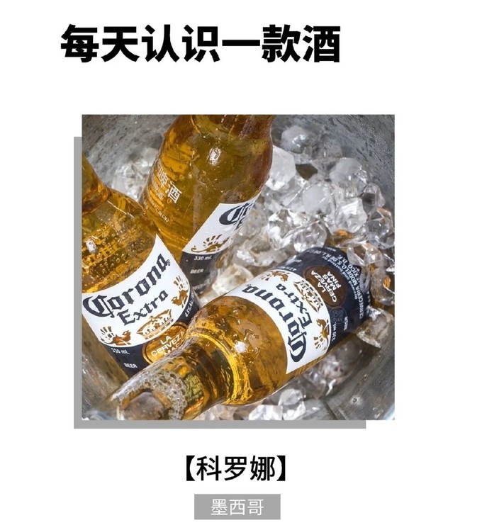 科罗娜精酿啤酒