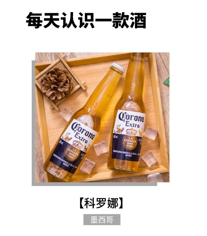 科罗娜精酿啤酒