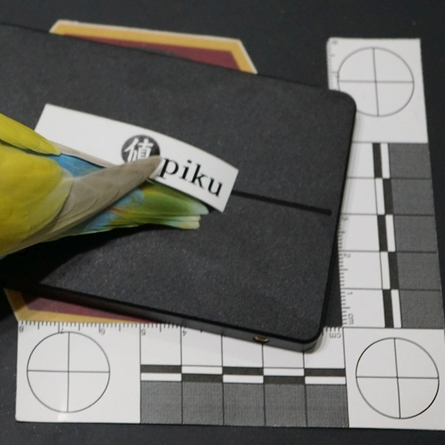 SOYO-W-512G 固态硬盘拆解