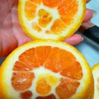 橙子新鲜，水份充足，甜度适中