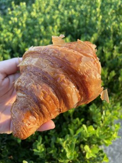 枫糖可颂🥐感觉自己在吃空气