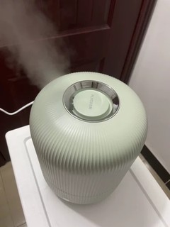 这款加湿器没有什么声音，晚上睡觉都很安稳