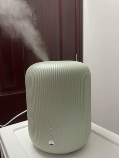 这款加湿器没有什么声音，晚上睡觉都很安稳