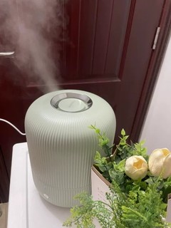 这款加湿器没有什么声音，晚上睡觉都很安稳