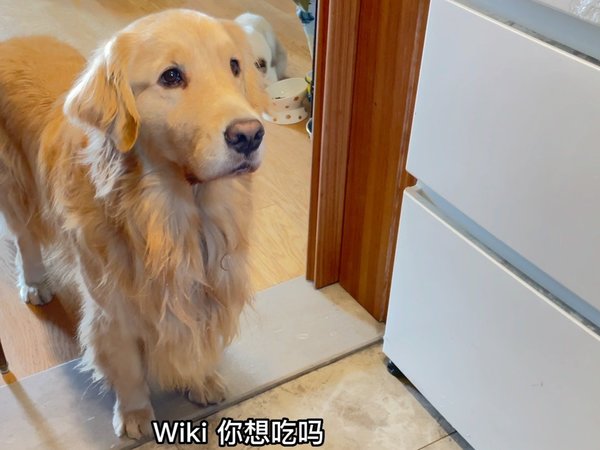 为了一颗鱼油，流了十颗鱼油的口水