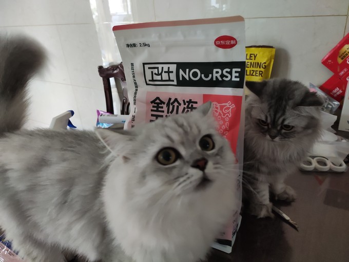 卫仕猫粮