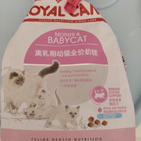 战战兢兢买的幼猫猫粮