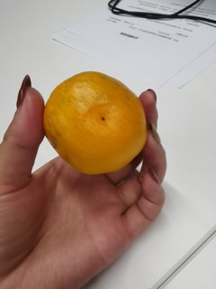 这个橘子也太甜了吧