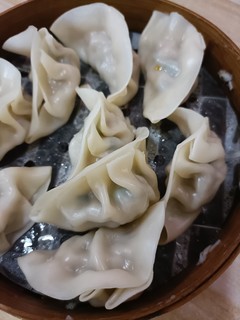 一口一个鲜肉饺子🥟