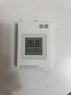 非常迷你的温度计