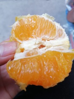 超级好吃的橙子