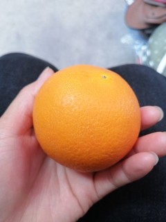 超级好吃的橙子