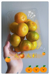 大“橘”大利，酸甜有趣🍊