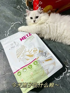 小猫咪超爱吃的冻干猫粮