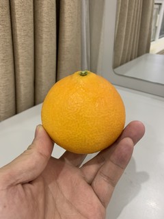 非常好吃的爱媛38号果冻橙