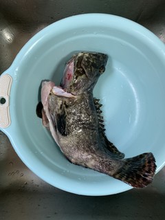 58一斤的石斑鱼，在深圳性价比最高的食材
