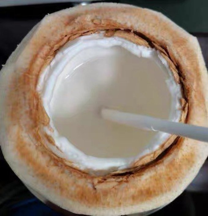 佳农其他水果怎么样 佳农泰国椰青新鲜椰子9个大果原箱 当季水果_什么