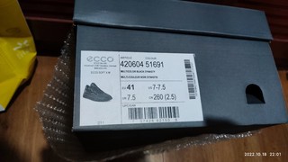 〔蜈蚣脚〕Ecco soft X捡漏好价改色有必要