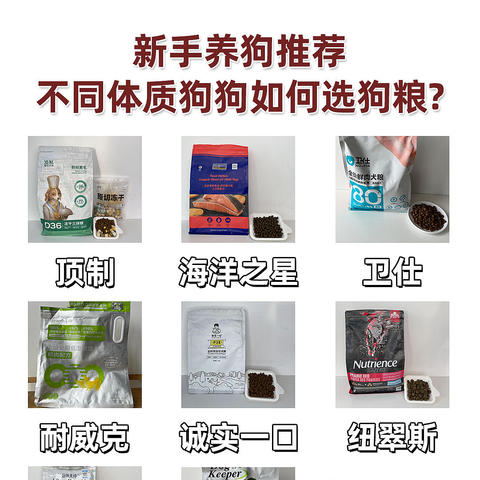 狗粮怎么选？根据狗狗自身需要来选狗粮：肠胃不好怎么选狗粮？想长肉吃什么狗粮牌子好丨新手养狗必看