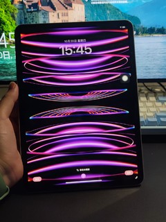 iPad Pro 2022上手（手动狗头保命）