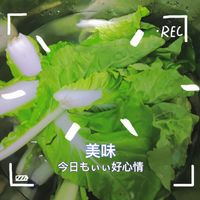 白菜炒豆腐，真香