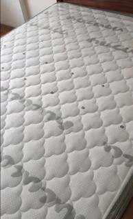 椰棕抑菌床垫