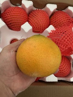 家人们，又到吃果冻橙的季节啦！