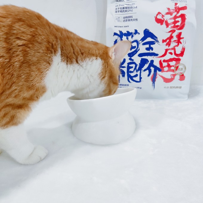 猫粮