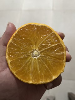 水多无核的果冻橙
