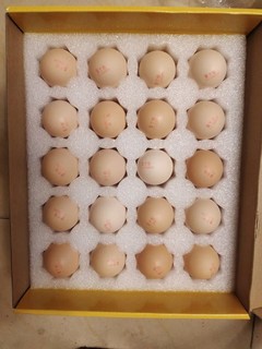 每个鸡蛋的大小都很均匀