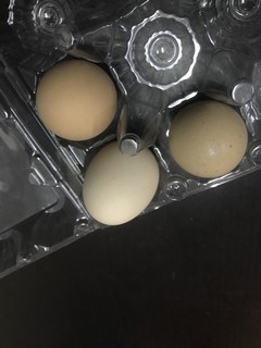 原来土家鸡蛋都这么小一个的吗？