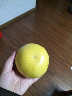 葡萄柚除了个头小点是真的好吃！！