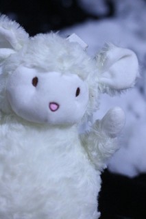 小羊玩偶真是可爱极了