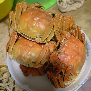 秋天的第一顿螃蟹 今锦上螃蟹