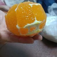 四川爱媛果冻橙。