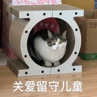 福丸猫抓板