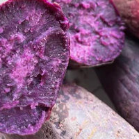 紫薯新鲜番薯地瓜蜜薯糖心山芋
