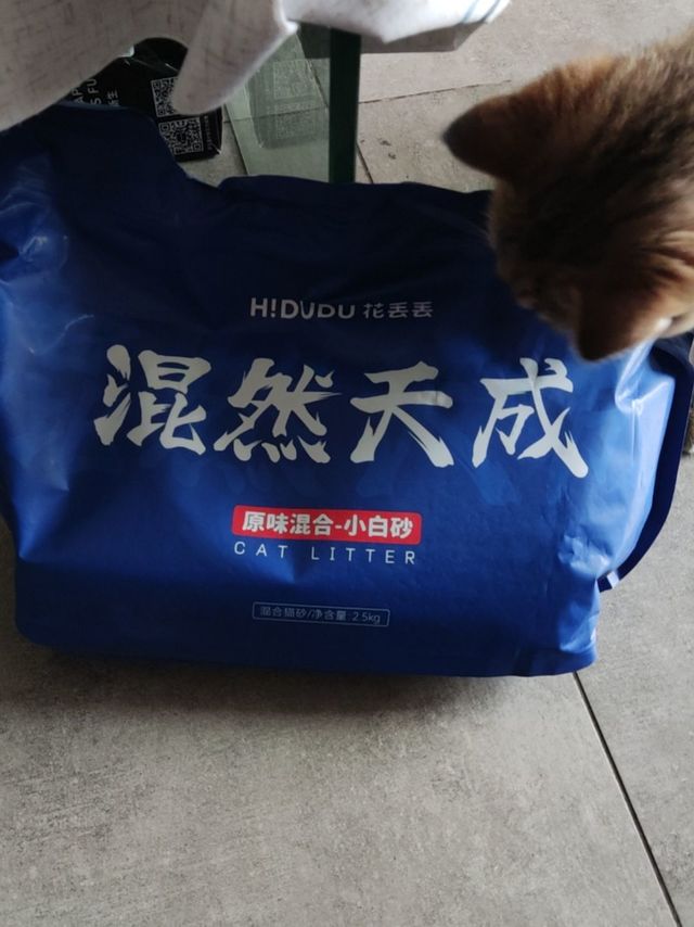 羊毛薅到的猫砂也不赖嘛