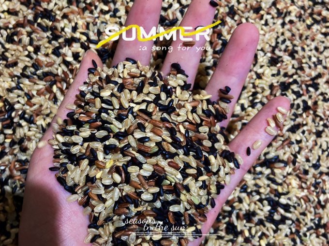 吃的,同样也适合减脂期的小伙伴们吃,又好吃又健康 九鲤湖三色糙米