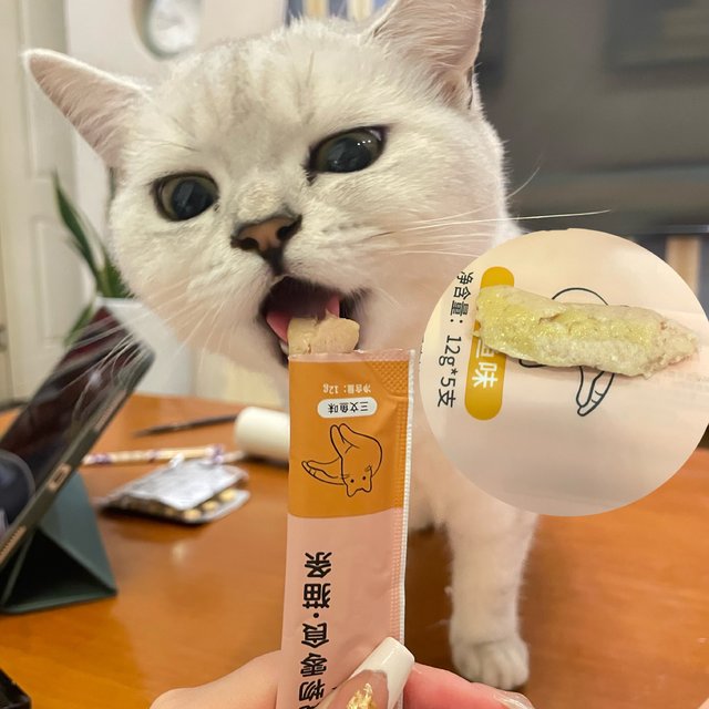 猫猫吨吨吃的猫条.好吃到哭n