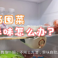 冰箱囤菜多有异味怎么办？