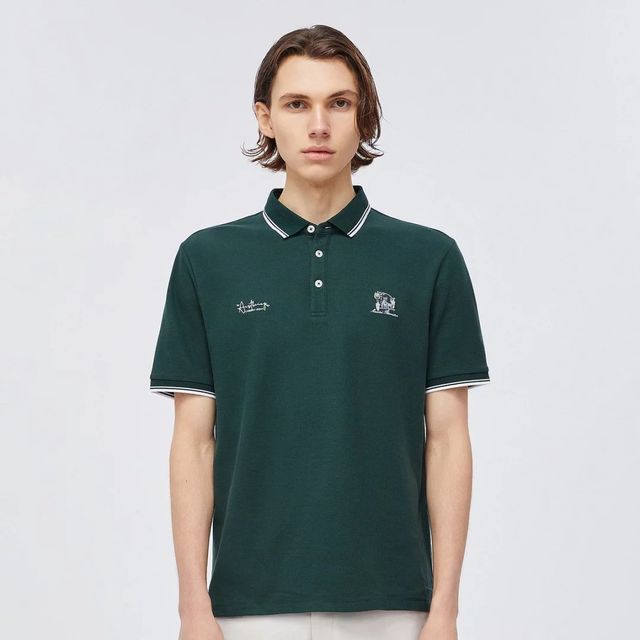 中规中矩的polo