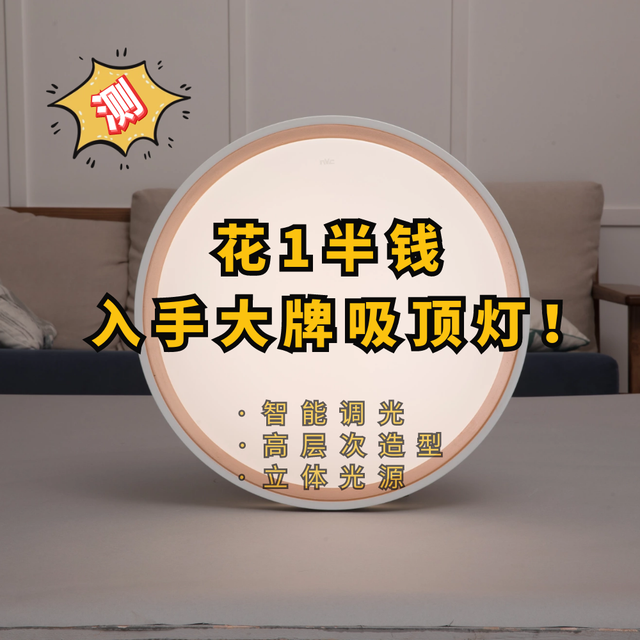 别再跟风做无主灯了！双11吸顶灯这么买，花一半钱高级感拉满！