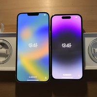 Apple 篇一：iPhone14 Plus 携带14 Pro PDD百亿补贴安全下车（14Plus普通用户的换机体验）