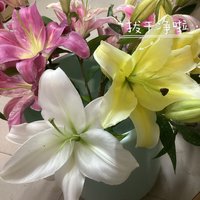 9.9的网购鲜花快乐 百合花往年价格都贼贵