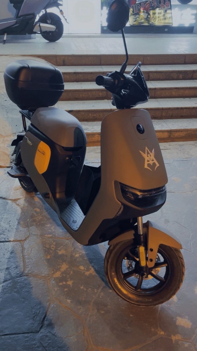 ninebot 九号 电动自行车 远行者 f60064299天猫精选去购买