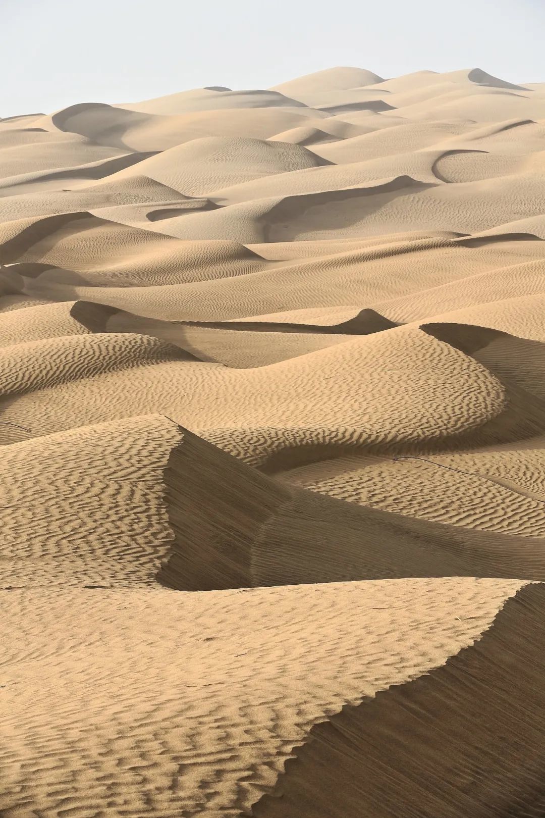 面积最大的沙漠,沙丘的种类也最多,"塔克拉玛干是风沙地貌的博物馆