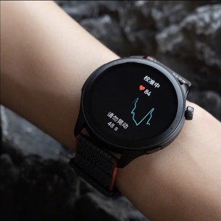 Amazfit 跃我 GTR 4 竞速灰 血压筛查 