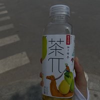 农夫山泉果味茶饮料柚子绿茶