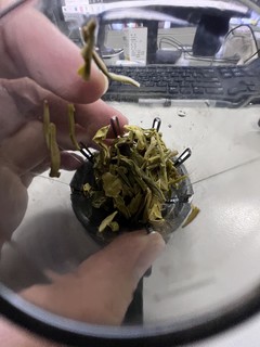 中年人的摸鱼茶